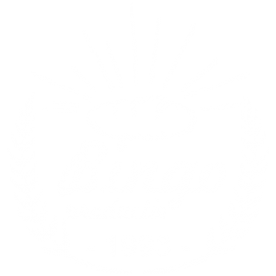 Bingo productie